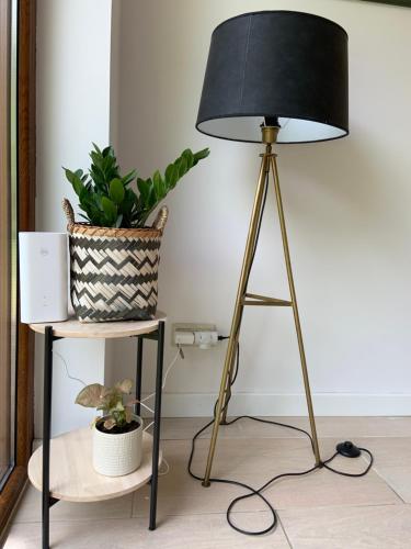 a lamp with a black lampshade next to a plant at Lavender Cottage in Sucha Rzeczka
