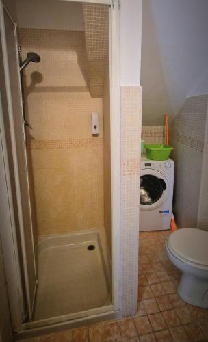a shower in a bathroom with a toilet and a washing machine at Monferrato Street House in Calliano