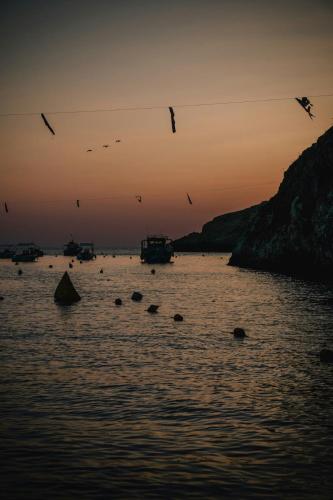 a group of birds flying over the water at sunset at The Valley Collection - Suite A21 in Xagħra
