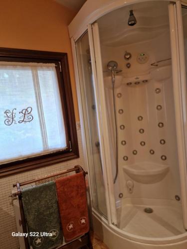 a bathroom with a shower with a toilet and a window at O Piñón in Santa Cristina de Cobres