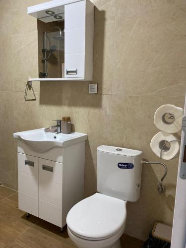 a bathroom with a white toilet and a sink at Prenoćište Silver Lux Srebrno Jezero 11 in Veliko Gradište