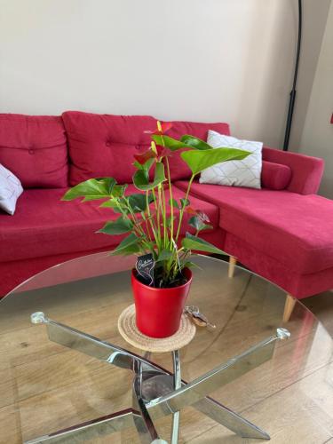a red couch with a potted plant on a table at Maison familiale et cosy à la mer in Saint-Valery-sur-Somme