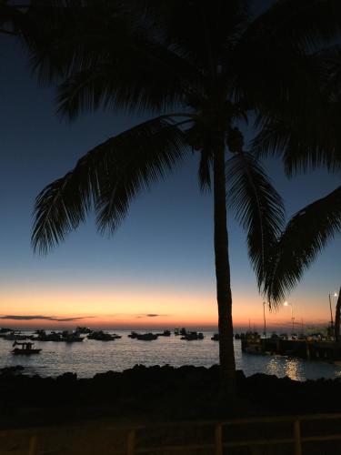 a sunset over the water with a palm tree at Golden Bay Galapagos in Puerto Baquerizo Moreno