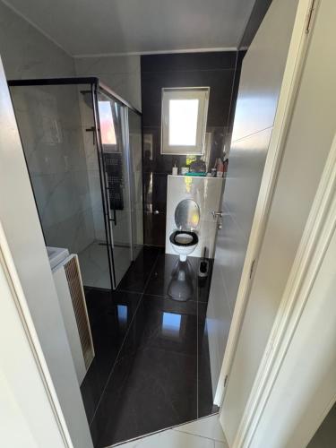 a bathroom with a toilet and a walk in shower at Ferienhaus Rovine in Ivišovo Greblje