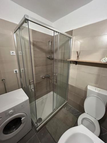 a bathroom with a shower stall and a toilet at Apartmani Kasteljan 4, Stara Novalja in Stara Novalja