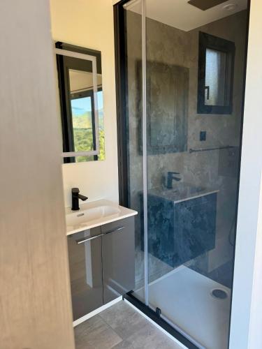 une salle de bain avec une douche en verre et un lavabo dans l'établissement Lodge sous les oliviers, à Propriano