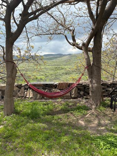 a hammock hanging between two trees in a field at Old Byurakan Gouest House in Byurakan