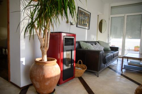 Apartamento Frente Al Mar
