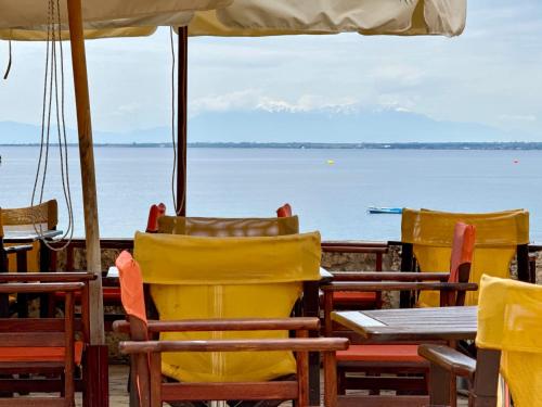 Φωτογραφία από το άλμπουμ του Maistrali Beach Studios  στη Γερακινή