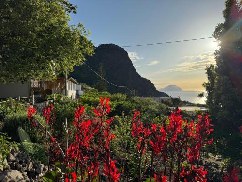 Φωτογραφία από το άλμπουμ του Casa vacanze Lino e Iolanda σε Pollara