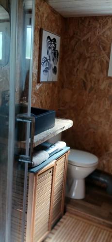 a bathroom with a toilet and a sink and a shower at Terre divine in Saint-Maurice-lès-Couches