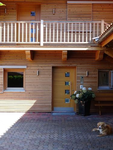 a dog laying on the ground in front of a building at Golfweg 'Home away from home' in Reith bei Kitzbühel