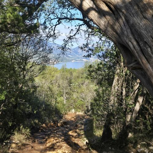 a trail through the trees with a lake in the background at Hotel Pranos Turismo Rurale Cala Gonone in Cala Gonone