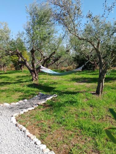 a hammock in the grass next to two trees at Villa Debriz in Stréfi