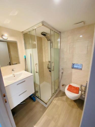 une salle de bain avec une douche, des toilettes et un lavabo dans l'établissement Appartement entier proche du tramway, à Carbon-Blanc