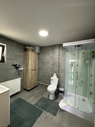a bathroom with a toilet and a glass shower at Apartament la casă in Bistriţa