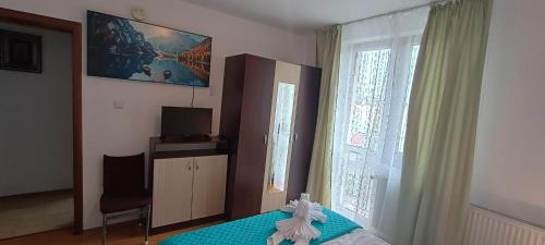 a bedroom with a bed and a television and a window at Charter Apartments Costea in Sibiu