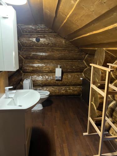 a bathroom with a toilet and a sink at Villa ZRUB in Palyanytsya