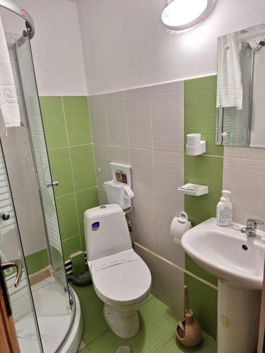 a green and white bathroom with a toilet and sink at Clubul Veteranilor in Viforîta