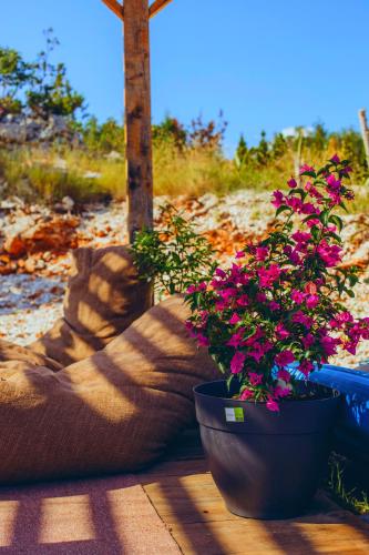 Gallery image of Glamp Rose in Rose