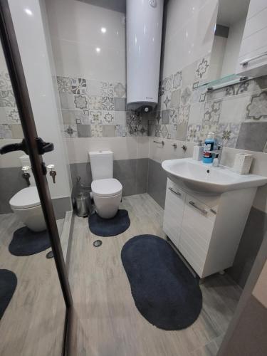 a bathroom with a toilet and a sink at Darena apart in Stara Zagora