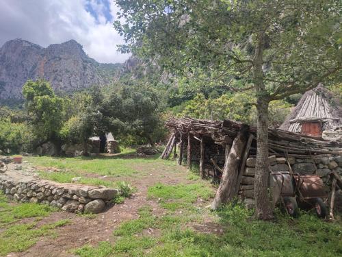 an old cabin with a tree and a stone wall at Appartamento Meduse in Cala Gonone