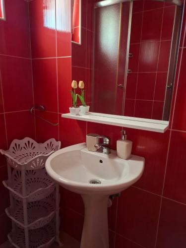 Koupelna v ubytování Apartmani Peace