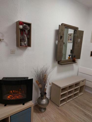 a living room with a fireplace and a mirror at Cocooning Family Duplex La Foux d'allos in Allos