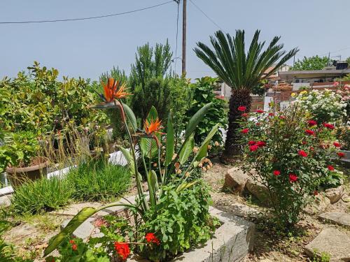 a garden with colorful flowers and plants at Konstantina's cottage Ideal BaseforBalos & Elafonisi in Kissamos