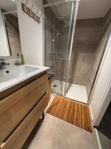 une salle de bain avec un lavabo et une douche dans l'établissement Lesjolislogementsbrivistes exception, à Brive-la-Gaillarde