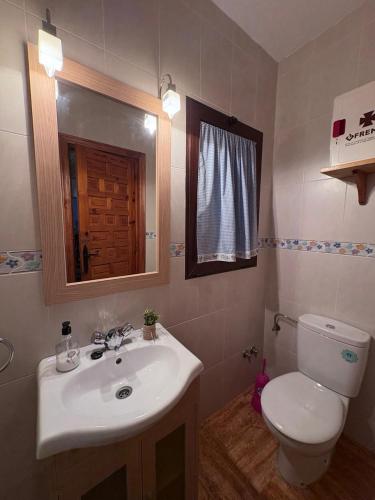 a bathroom with a sink and a toilet and a mirror at Alojamiento Julian in Quesada