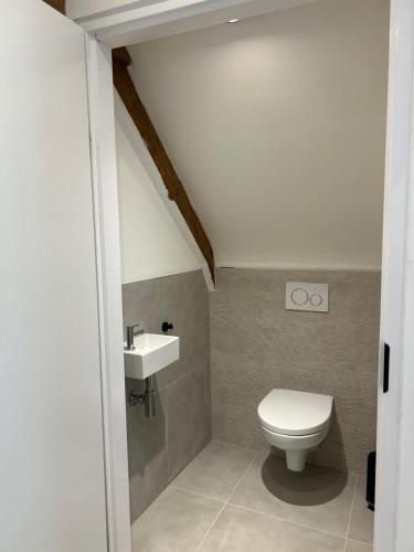 a bathroom with a toilet and a sink at Modern Polderhuis Zeeland Philippine in Philippine