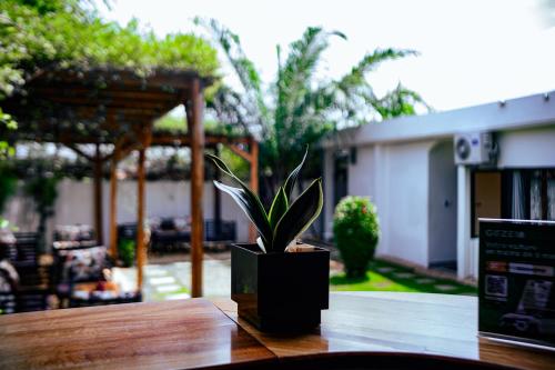 Ahomé Guest house & Lounge