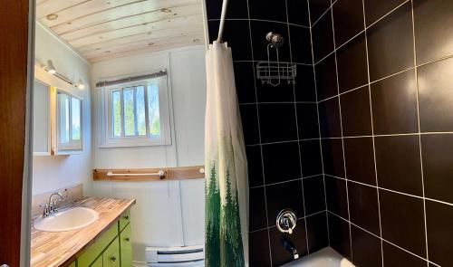 a bathroom with a shower and a sink and a tub at All Star Inn cottage on water with stunning sunsets in Tobermory