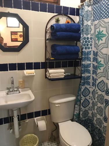 a bathroom with a toilet and a sink and a shower at Los Chitos in Los Ayala