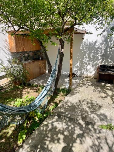 Jardín al aire libre en Boipeba Guesthouse