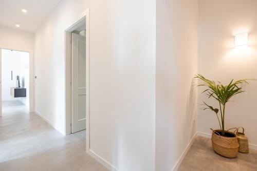 a hallway with white walls and a potted plant at IVY - Boston in Latina