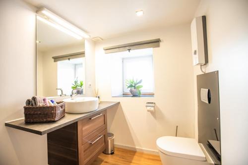 a bathroom with a sink and a toilet at Pension Schwedenkreuz in Reimerath