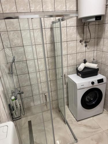 a bathroom with a washing machine and a sink at Apartment Agape in Posušje