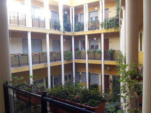 Patio sevillano, tú oasis urbano