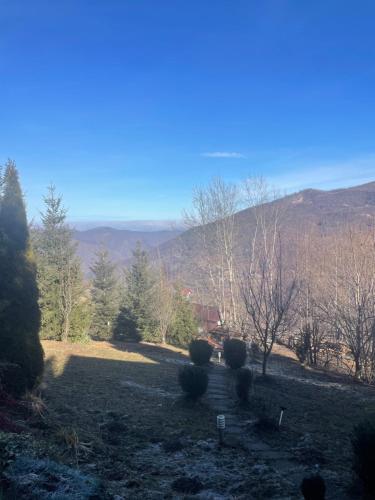 un champ planté d'arbres et de montagnes en arrière-plan dans l'établissement Cabana Dor De Munte, à Muntele Rece