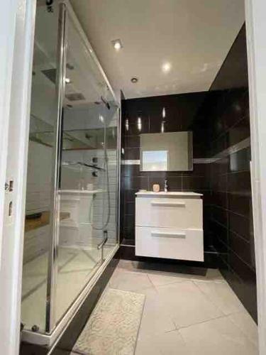 La salle de bains est pourvue d'une douche en verre et d'une armoire blanche. dans l'établissement Villeurbanne Super Apartment in residence, à Villeurbanne