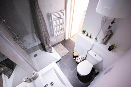 une salle de bain blanche avec toilettes et douche dans l'établissement L'Indigo, plein centre, WIFI-Netflix, à Montbéliard