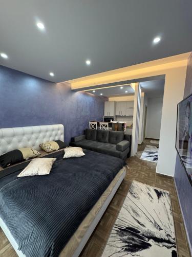 乌尔齐尼Stan Pinjes - Ulcinj的带一张大床和一张沙发的卧室