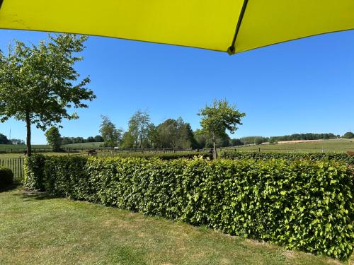 an umbrella over a hedge with a field in the background at Au Coeur des Collines, Gloriette in Ellezelles