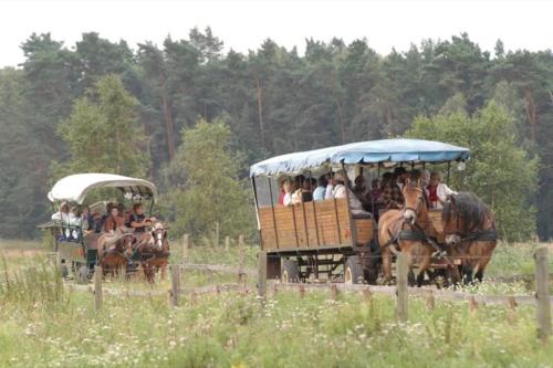 Naturidylle mit Kamin und Sauna in der Schorfheideの宿泊客