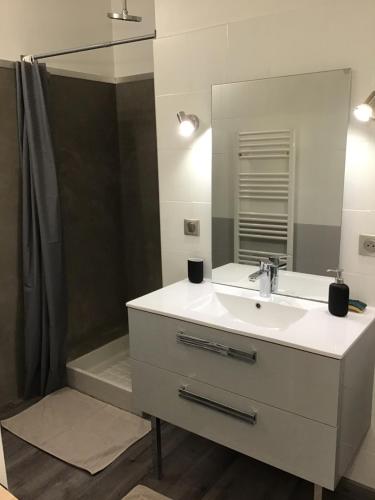 une salle de bain avec un lavabo blanc et un miroir dans l'établissement Charmant studio Arlésien en bordure du Rhône, à Arles