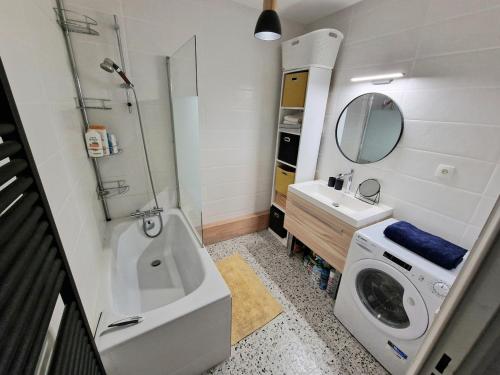圣雅克德拉朗德Le Cocon Botanique Rennais的带水槽和洗衣机的浴室