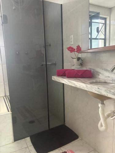 a bathroom with a glass shower and a sink at Flat Palladium in São Vicente