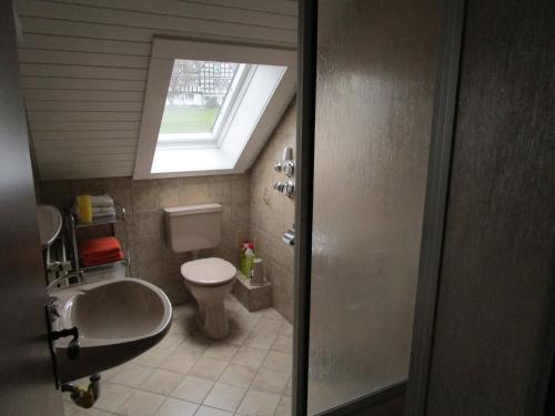 a bathroom with a toilet and a sink and a window at Apartment Albers in Schmallenberg
